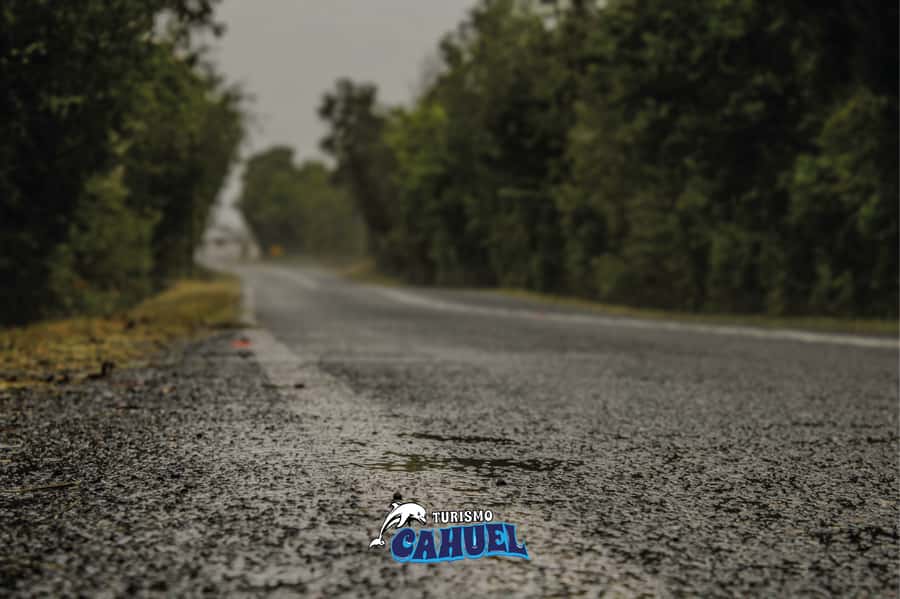 Inner Coast of Chiloé: Road and Sea. - Starting from Castro and heading toward Dalcahue