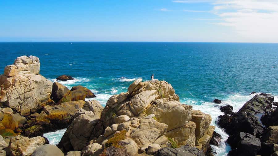 ISLA NEGRA AND ALGARROBO WITH VINICOLA UNDURRAGA - TOUR : CHILE - Algarrobo, beaches, and the giant saltwater pool