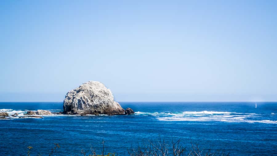 ISLA NEGRA AND ALGARROBO WITH VINICOLA UNDURRAGA - TOUR : CHILE - Clothes, food, and useful day-trip planning