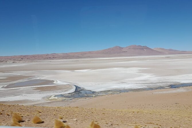 Journey Through the Salt Flats - Key points to know before booking