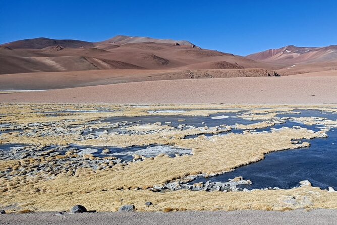 Journey Through the Salt Flats - Meeting the Sentinels of Tara