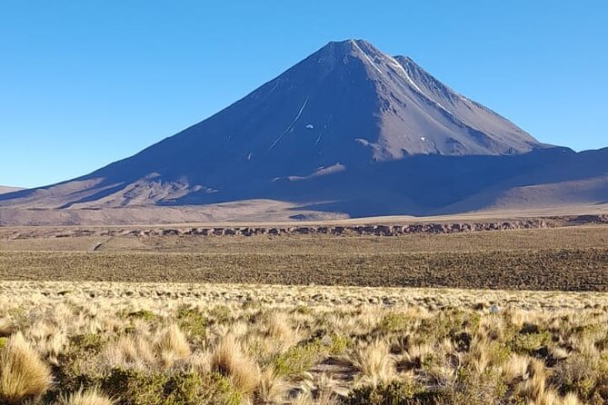 Journey Through the Salt Flats - Adjusting to 4,400 meters in the Atacama