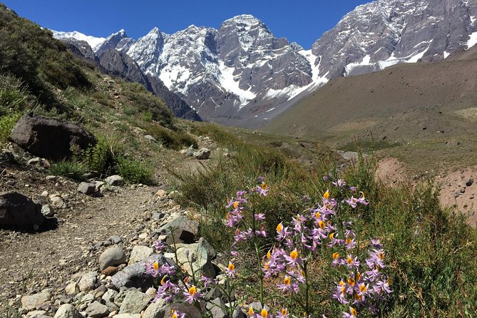 Juncal Andean Park: Hiking over a Glacial Tongue - Is $220 a fair price?