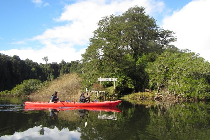 Kayak Laguna La Poza 1/2 day - Key points to know before you paddle