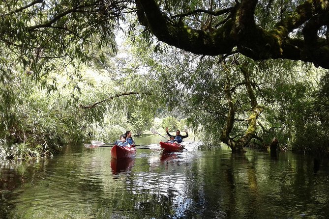 Kayak Laguna La Poza 1/2 day - Calbuco Volcano, the quieter visual reward
