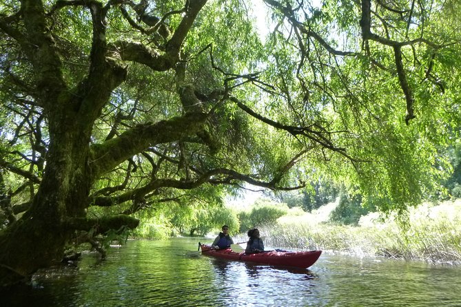 Kayak Laguna La Poza 1/2 day - Lake Llanquihue from the water