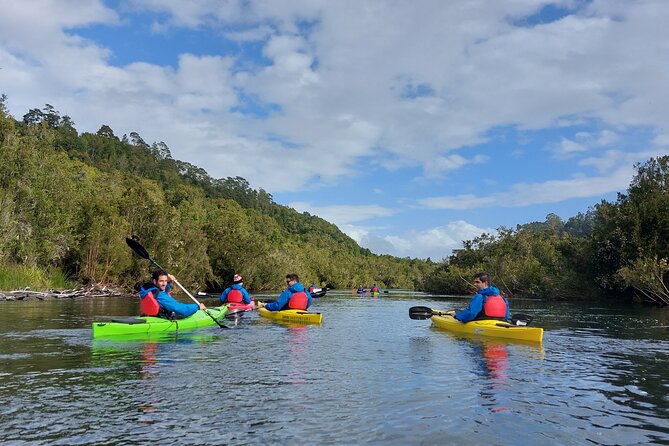 Kayak through the Sunken Forest of the Maullín River - Quick points to know before you book