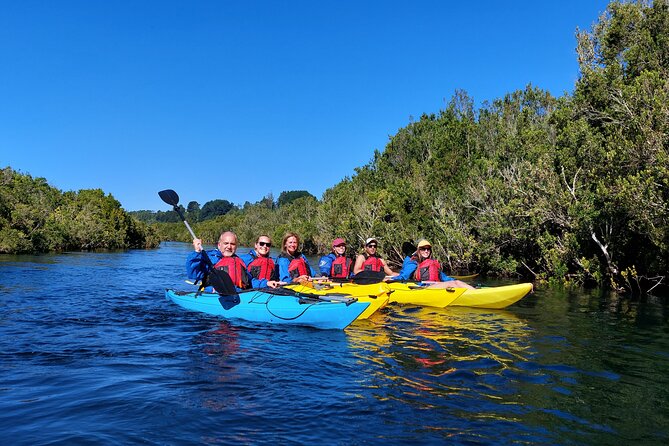 Kayak through the Sunken Forest of the Maullín River - Rain, sunshine, and sensible clothing