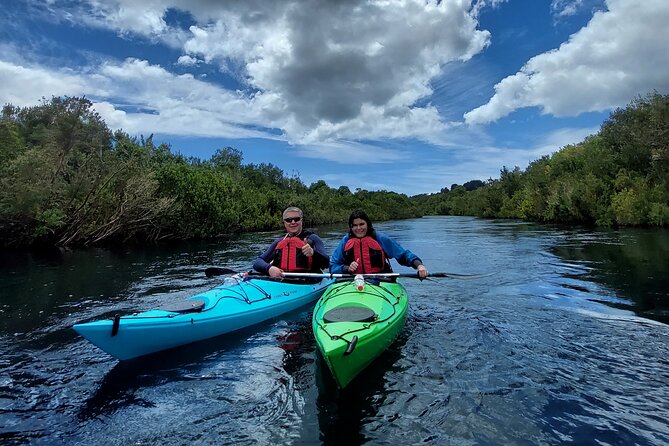Kayak through the Sunken Forest of the Maullín River - Paddling among trees and native plants
