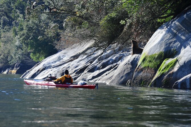 Kayaking Patagonian Fjord from Puerto Varas - Entering the Reloncaví Estuary
