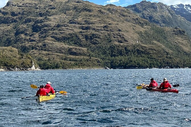 Kayaking with Whales and Wildlife Watching From Punta Arenas - Setting out before sunrise from Punta Arenas