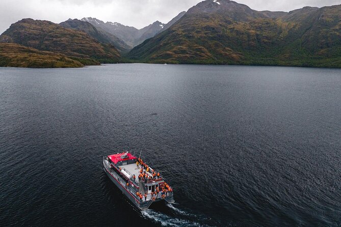 Kayaking with Whales and Wildlife Watching From Punta Arenas - Is $790 a fair price?