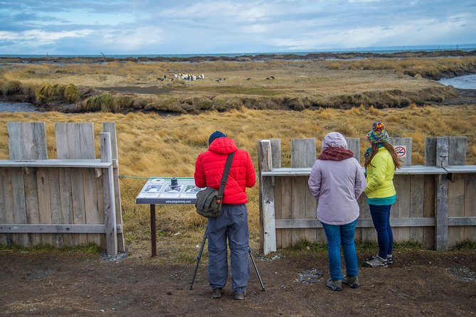 King Penguin Nature Reserve - Tierra del Fuego Island - A 5:00 am start and a day ruled by ferries