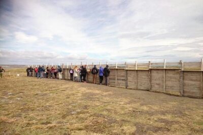 King Penguin Nature Reserve – Tierra del Fuego Island