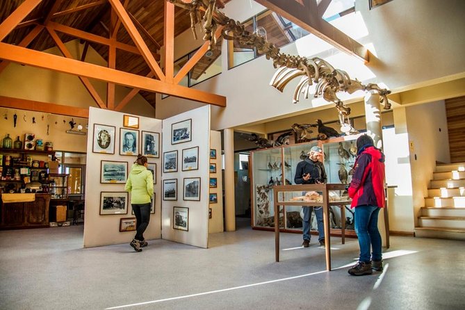 King Penguin & Tierra del Fuego Tour - Key points before you book