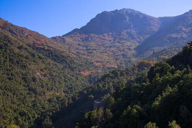 La Campana ascent from Santiago - Why La Campana makes a strong day trip from Santiago