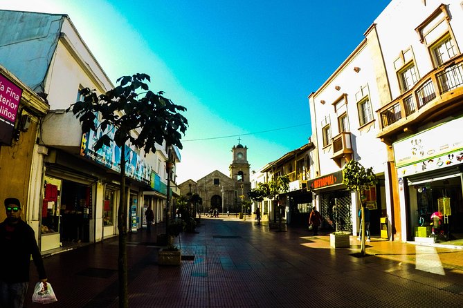 La Serena and Coquimbo Private City Tour Including Lunch, Shore Excursion - A shore excursion with room to look around