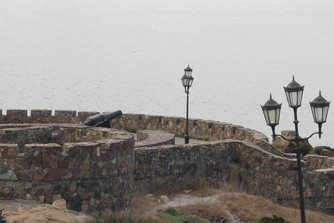 La Serena & Coquimbo City Tour - Short Cruise Excursion - La Recova Market for local shopping