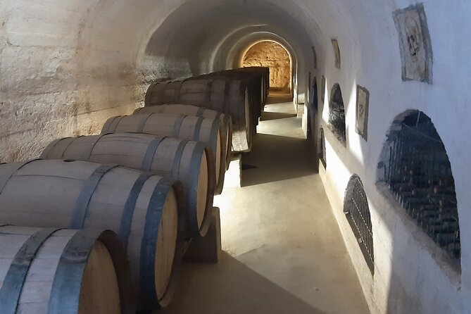 La Serena & Elqui Valley : Ancestral & Avant Garde Wines & Piscos - Solar Kitchens of Villaseca turn lunch into a local lesson