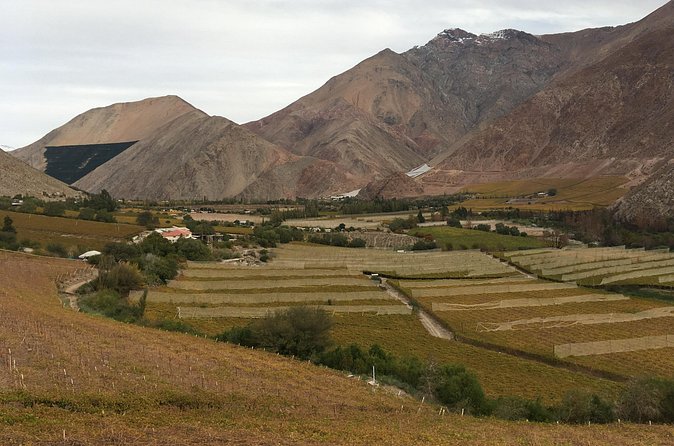 La Serena & Elqui Valley : Ancestral & Avant Garde Wines & Piscos - Paihuano and Pisco Elqui bring in the mountain scenery