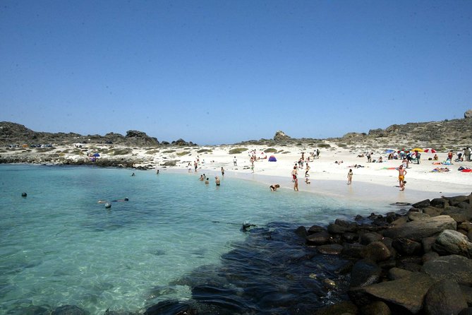 La Serena: Full day to Isla Damas & Humbolt Pinguino National Reserve - From La Serena to Punta Choros by road