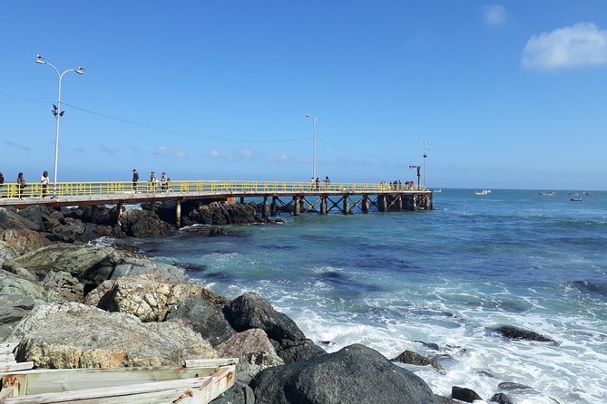 La Serena: Full day to Isla Damas & Humbolt Pinguino National Reserve - Price, season, and who gets the most value