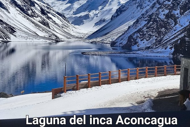 Laguna del Inca Aconcagua, Portillo - Who will get the most from this Andes day