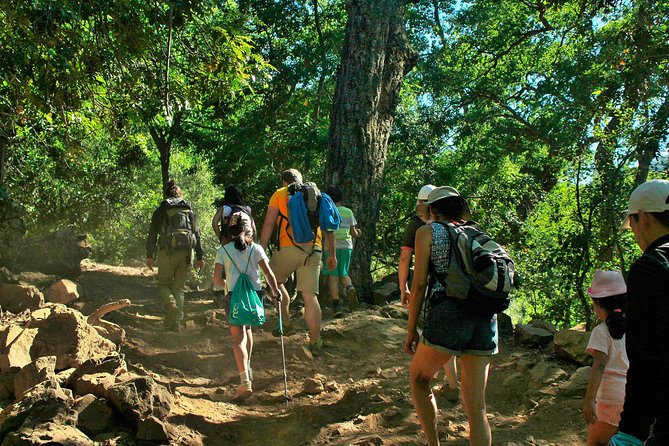 Las Animas Waterfall Tour - Why this Chilean waterfall trip takes all day