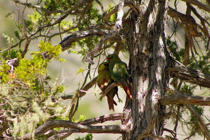 Las Animas Waterfall Tour - From Las Puentes to the Achibueno River