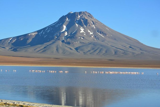 Lascar volcano - Why Lascar Makes Such a Powerful Day Trip