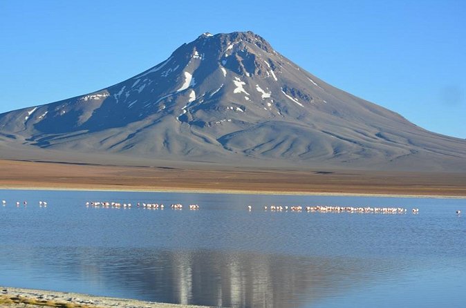 Lascar volcano - How the $190 Price Measures Up