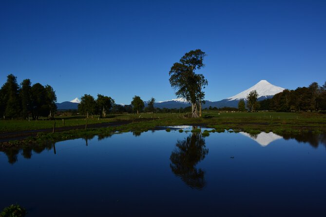 Llanquihue Lake Tour - Starting with Llanquihue’s lakeside setting