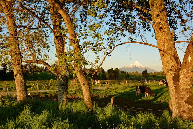 Llanquihue Lake Tour - Puerto Octay, cobbled streets, and lunch