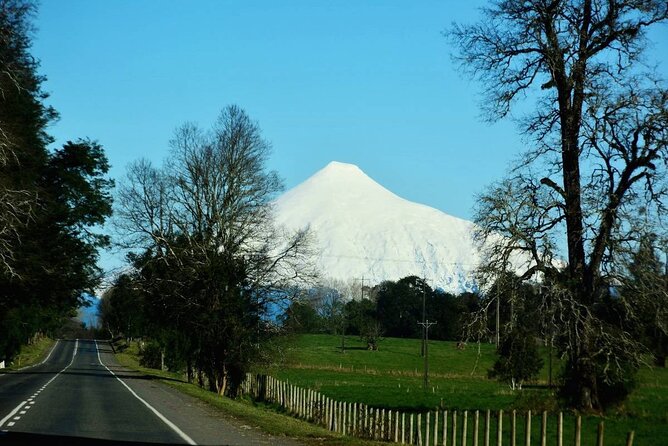 Llanquihue Lake Tour - A smart balance of walking and road time