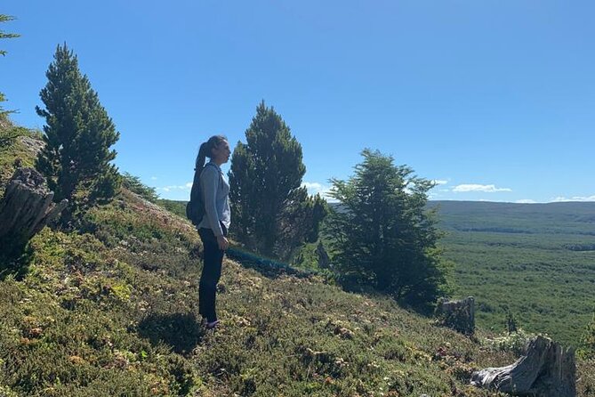 Magallanes National Reserve and Punta Arenas City Tour - Key points at a glance