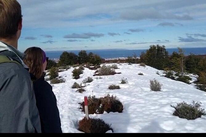 Magallanes National Reserve and Punta Arenas City Tour - Why this half-day route works