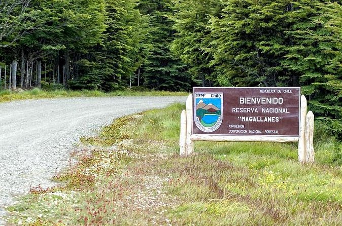 Magallanes National Reserve Hiking from Punta Arenas - Shoes, clothing, and weather planning