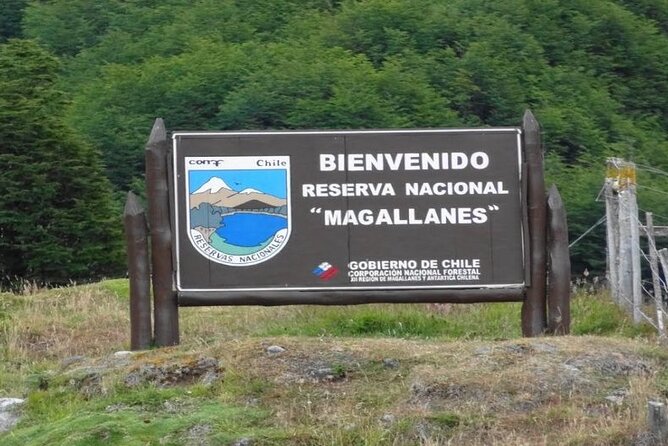 Magallanes National Reserve Hiking from Punta Arenas - Who will enjoy this private half-day outing