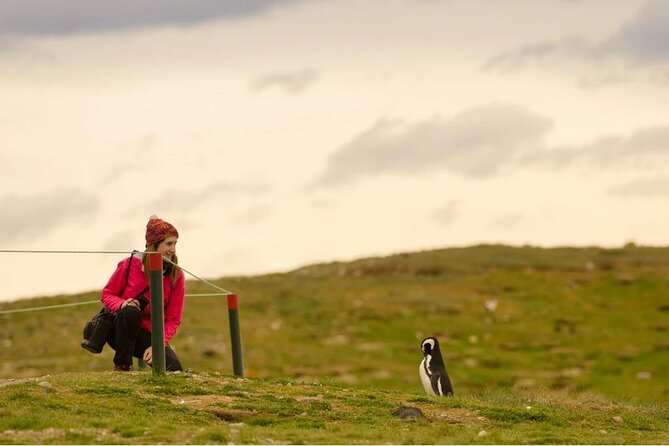 Magdalena Island Penguin Boat Tour and Marta Island - Marta Island and its sea lion colony