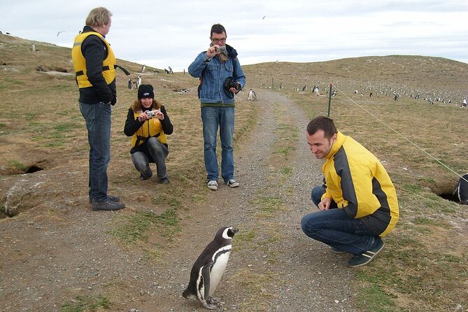 Magdalena Island Penguin Boat Tour and Marta Island - What to bring and how to prepare