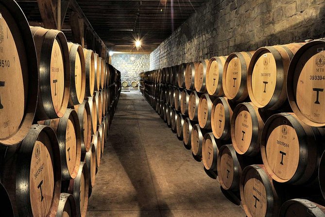 Maipo Valley Experience - Lunch Is Separate, But a Restaurant Reservation May Be Arranged