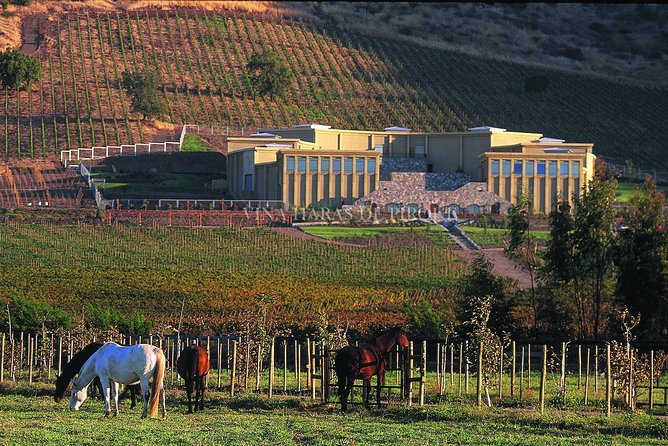 Maipo Valley Experience - What Kind of Visitor Will Enjoy This Tour Most?