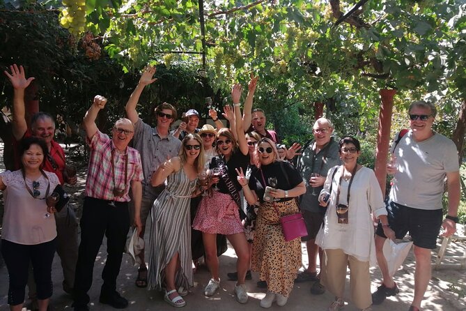 Maipo Valley litle wine bus from Santiago - Isla de Maipo begins with art, brunch, and wine