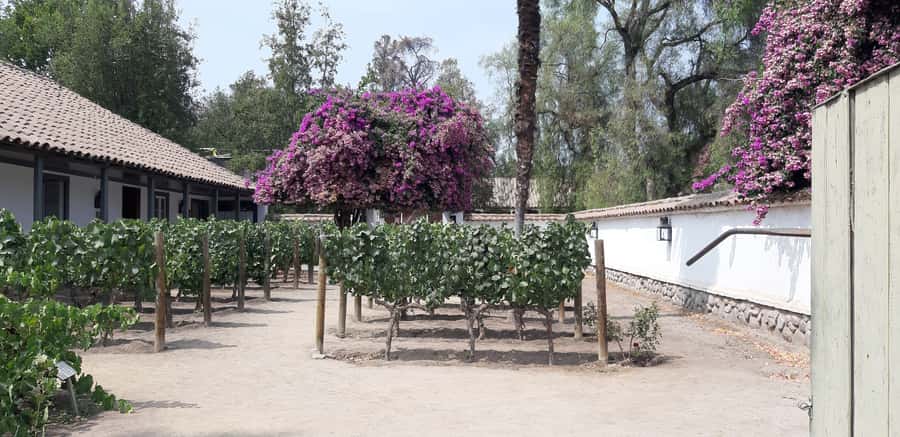 Maipo Valley: Private Full-Day Wine Tour - Key Points at a Glance