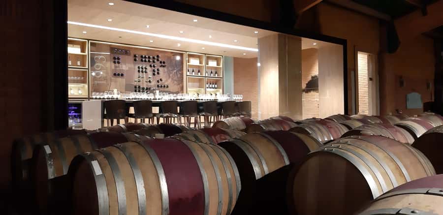 Maipo Valley: Private Full-Day Wine Tour - How to Prepare for the Day