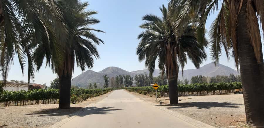 Maipo Valley: Private Full-Day Wine Tour - Who Will Enjoy This Tour Most?