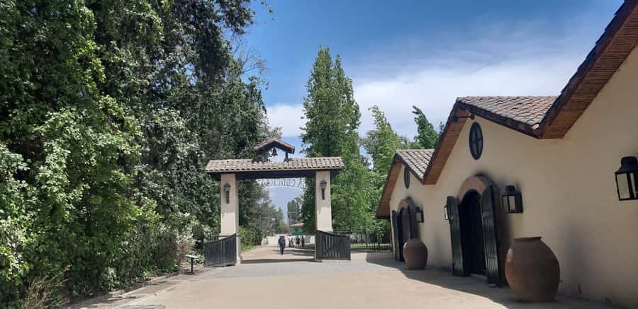 Maipo Valley: Private Full-Day Wine Tour - Cousiño Macul and the First Taste of Chilean Wine