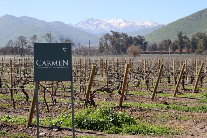Maipo Valley Top Wineries Private Tours and Tastings from Santiago - Why three Maipo wineries make sense