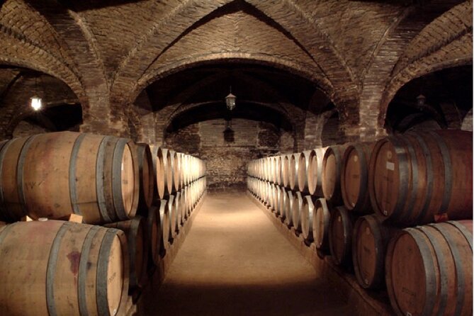 Maipo Valley Top Wineries Private Tours and Tastings from Santiago - Leaving Santiago with a private guide