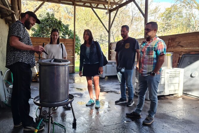 Maipo Valley Wine Tour with 4 vineyards from Santiago. - Viña Ballek: a smaller family setting